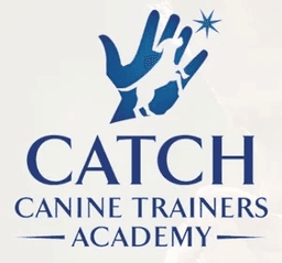 Certification badge two